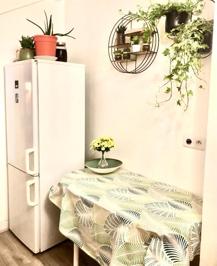 שואזי-לה-רואה Room With Balcon 20 Minutes From Eiffel Tower מראה חיצוני תמונה